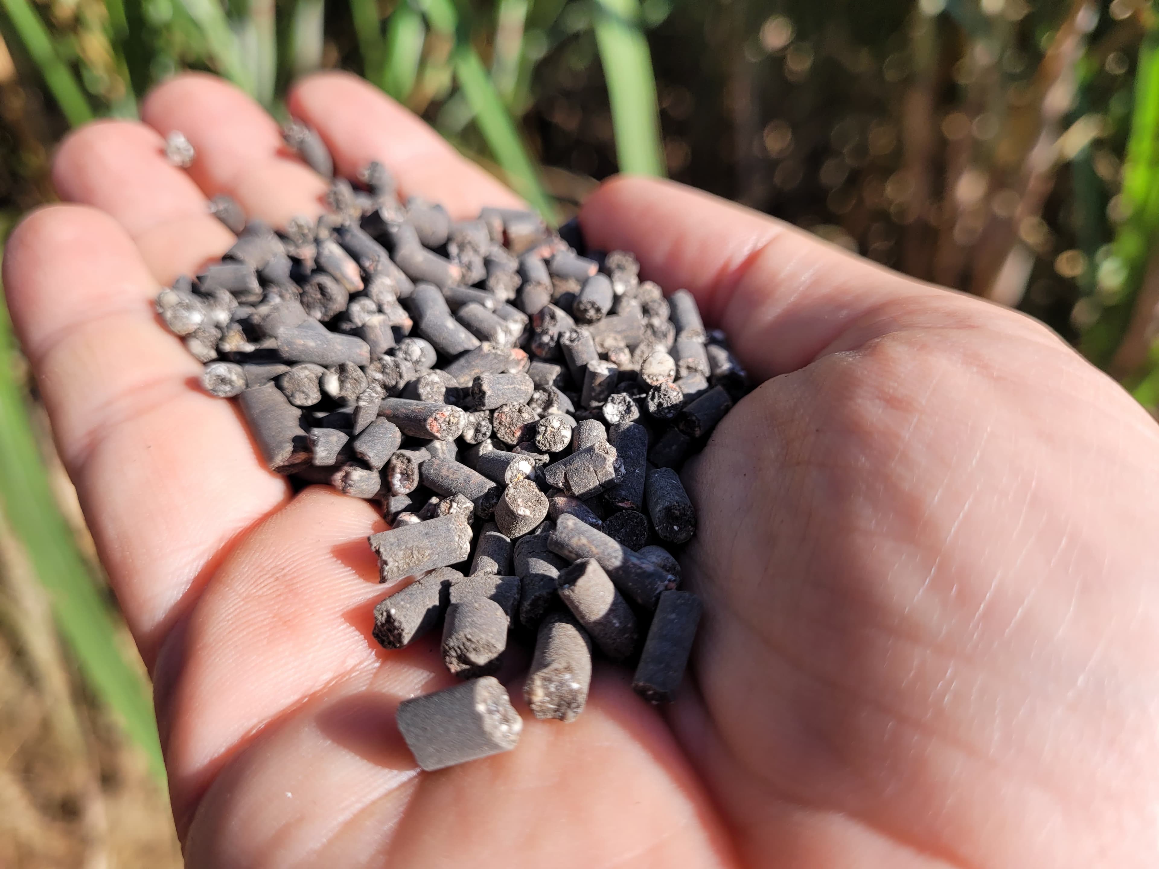 Como Escolher o Melhor Fertilizante Organomineral para Cana